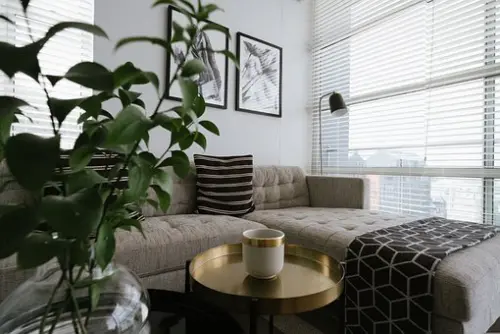 Upholstery-Cleaning--in-Knoxville-Tennessee-upholstery-cleaning-knoxville-tennessee.jpg-image